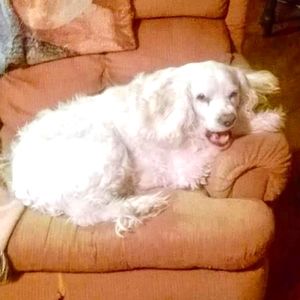 Have A Dogone Good Day !!!